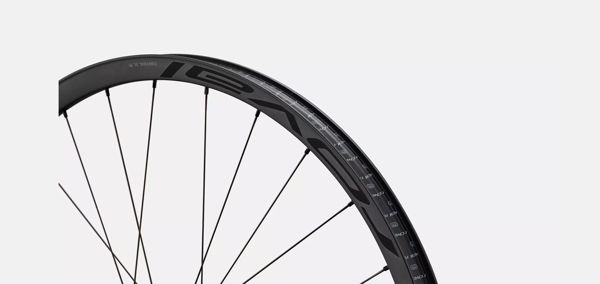 CONTROL SL VI 350 29 FRONT-REAR 28H SATIN CARBONBLK 2